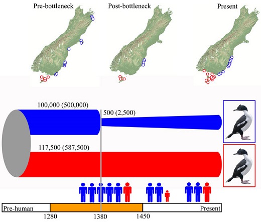 Rawlence reveals New Zealand's prehistoric wildlife sanctuaries