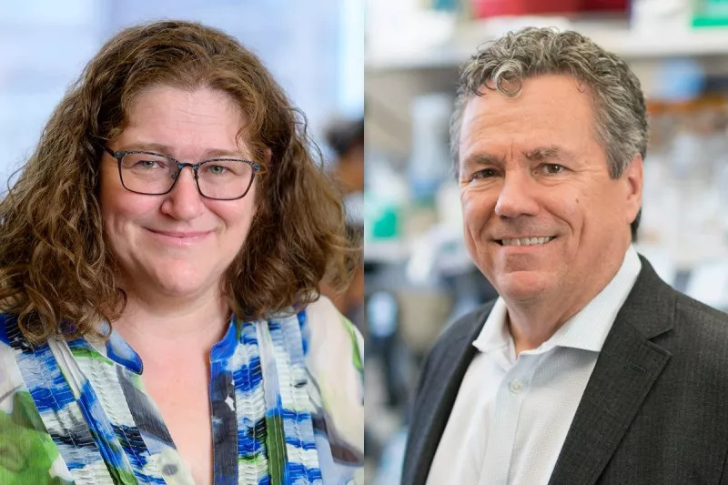 A team overseen by MSK researchers Dana Pe'er and Scott Lowe combined sophisticated genetically engineered mouse models and advanced computational methods to map the earliest cell states leading to pancreatic ductal adenocarcinoma (PDAC), the most common type of pancreatic cancer. A team overseen by MSK researchers Dana Pe'er and Scott Lowe combined sophisticated genetically engineered mouse models and advanced computational methods to map the earliest cell states leading to pancreatic ductal adenocarcinoma (PDAC), the most common type of pancreatic cancer.
