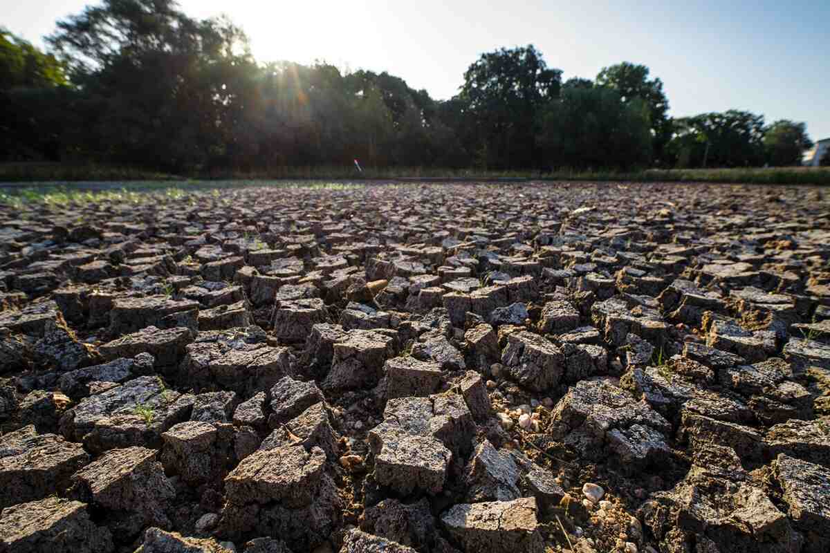 Climate change intensifies extreme heat in the soil Photo: André Künzelmann / UFZ Climate change intensifies extreme heat in the soil Photo: André Künzelmann / UFZ