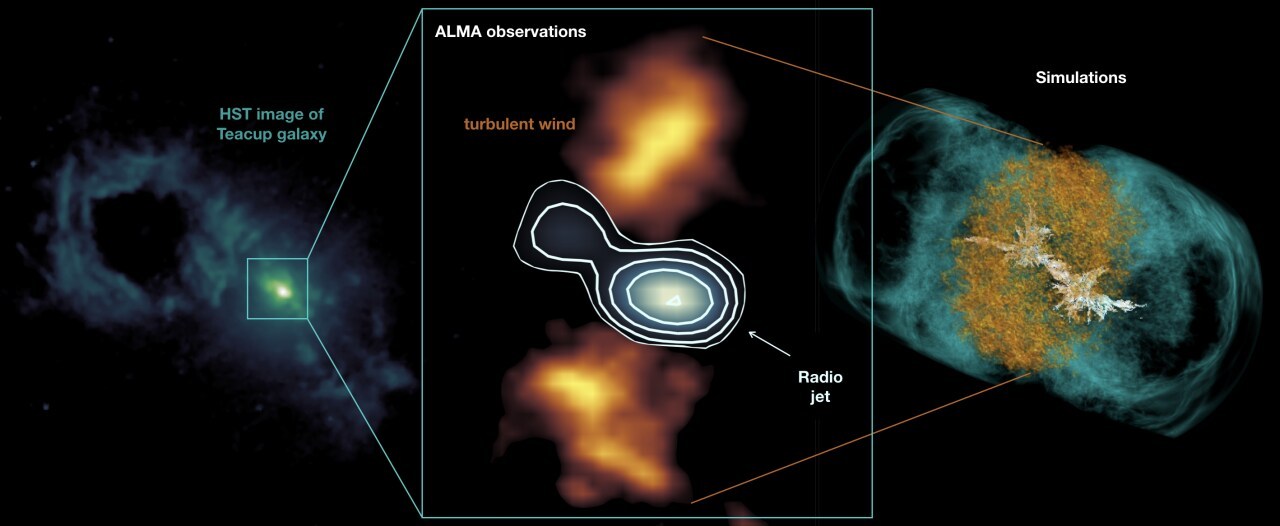 The compact radio jet in the center of the Teacup galaxy blows a lateral turbulent wind in the cold dense gas, as predicted by the simulations. Credit: HST/ ALMA/ VLA/ M. Meenakshi/ D. Mukherjee/ A. Audibert The compact radio jet in the center of the Teacup galaxy blows a lateral turbulent wind in the cold dense gas, as predicted by the simulations. Credit: HST/ ALMA/ VLA/ M. Meenakshi/ D. Mukherjee/ A. Audibert