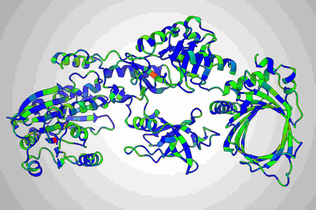 In this example, the model recommends keeping the blue parts the same as the natural version of the protein and strongly considering mutating the red parts. Credit: Danny Diaz/University of Texas at Austin. In this example, the model recommends keeping the blue parts the same as the natural version of the protein and strongly considering mutating the red parts. Credit: Danny Diaz/University of Texas at Austin.
