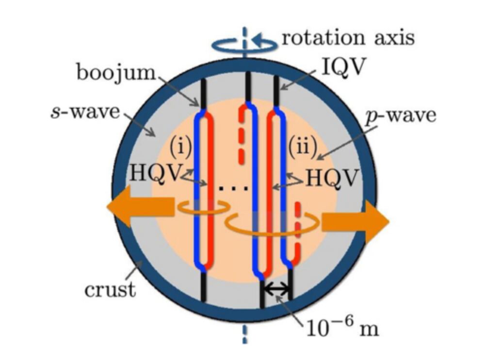 The image depicts the quantum vortex network model as proposed by the study authors. The pink p-wave inner core surrounds the grey s-wave outer core (Courtesy of Muneto Nitta and Shigehiro Yasui). The image depicts the quantum vortex network model as proposed by the study authors. The pink p-wave inner core surrounds the grey s-wave outer core (Courtesy of Muneto Nitta and Shigehiro Yasui).