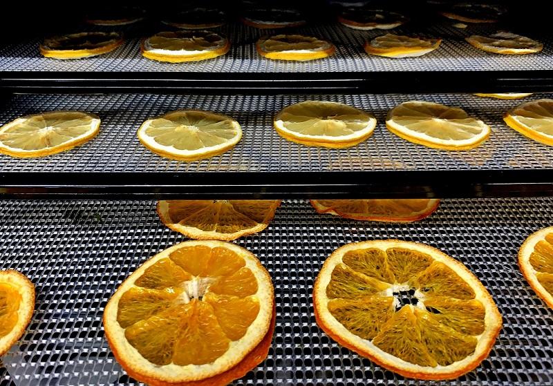 Drying with ionic wind: If the fruit slices are placed on a mesh, they are dried faster and more evenly. Image: Empa