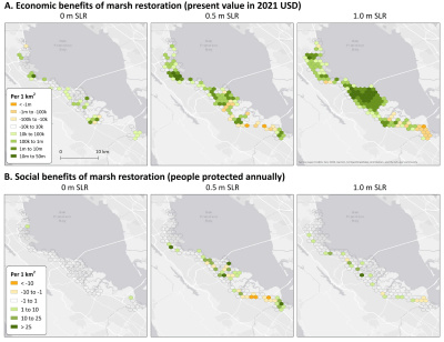 This graphic shows marsh restoration's economic and social flood reduction benefits with sea level rise. Green signifies positive present value and people protected, while orange represents the negative present value and increased risk.