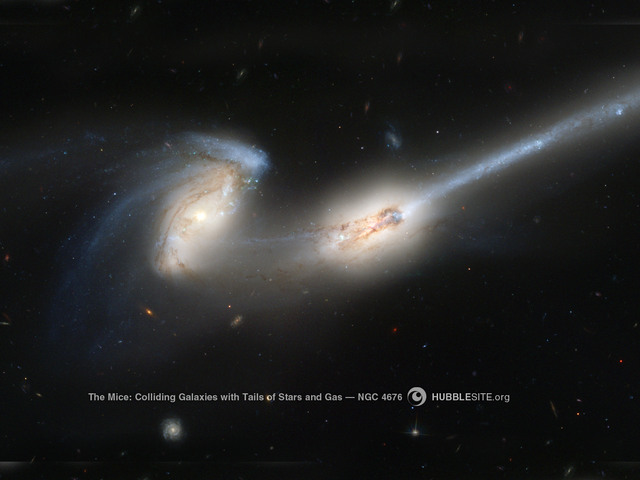 An image of the colliding galaxies NGC4676, "The Mice," as seen by Hubble. An analysis of eighteen thousand colliding galaxies in the supercomputer simulation Illustris has found that mergers like this one are the dominant mechanism determining the shape of galaxies more massive than the Milky Way, while for lower mass galaxies mergers do not play a significant role. NASA/HST An image of the colliding galaxies NGC4676, "The Mice," as seen by Hubble. An analysis of eighteen thousand colliding galaxies in the supercomputer simulation Illustris has found that mergers like this one are the dominant mechanism determining the shape of galaxies more massive than the Milky Way, while for lower mass galaxies mergers do not play a significant role. NASA/HST