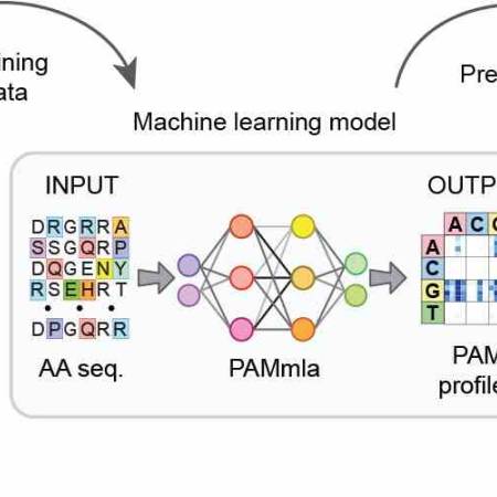 AI meets DNA: Scientists create custom gene editors with machine learning