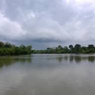 AI joins the fight to save the Amazon: Leicester scientists pioneer tech-driven conservation