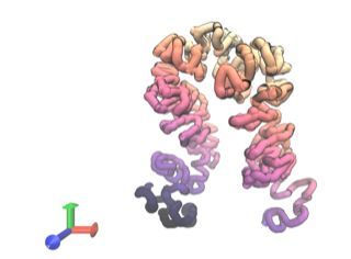 Predicted 3D structure for a segment of human genomic DNA