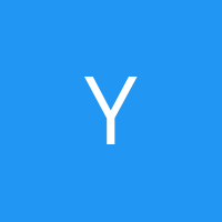 YanTic